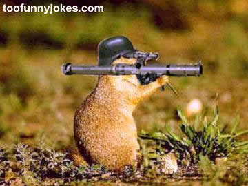 funny-photo009.jpg